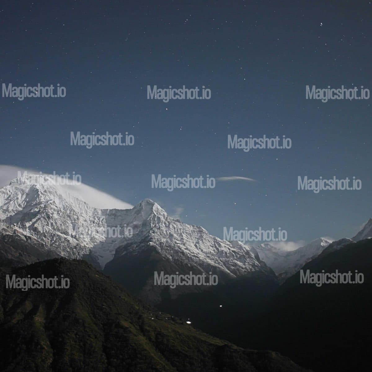 Odit decerno adsum